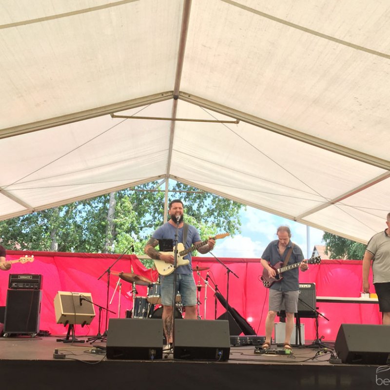 Semmelweis napi party 87